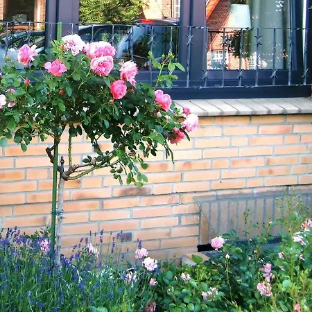 Haus Luisenhof Gæstehus Mölln